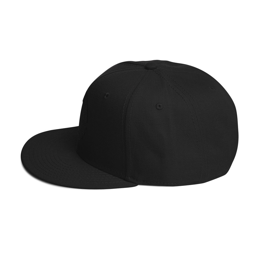 Embroidered Snapback Hat